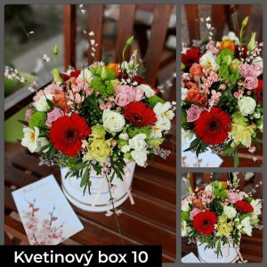 Kvetinarstvo Iveta Kvetinovy Box 10
