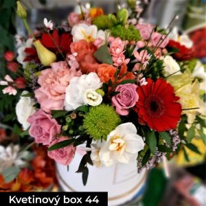 Kvetinarstvo Iveta Kvetinovy Box 44